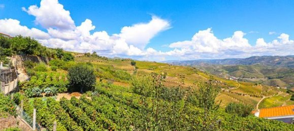 2 bedrooms House in Peso da Regua, Portugal No. 187930 8