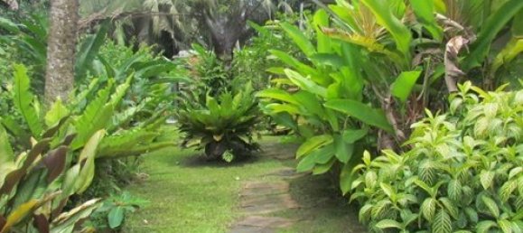 3 bedrooms Cafe / restaurant in Pattaya, Thailand No. 934 19