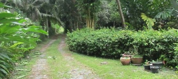 3 bedrooms Cafe / restaurant in Pattaya, Thailand No. 934 21