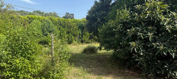 3 rooms Apartment in Palombara Sabina, Italy No. 266181 11