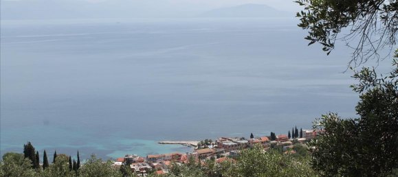 10000m² Hotel in Corfu, Greece No. 7818 5