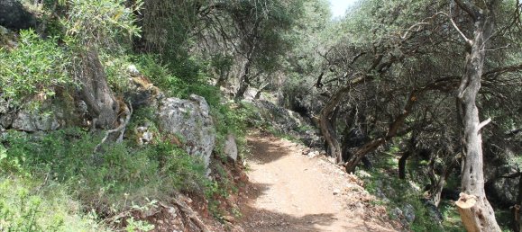 10000m² Hotel in Corfu, Greece No. 7818 4