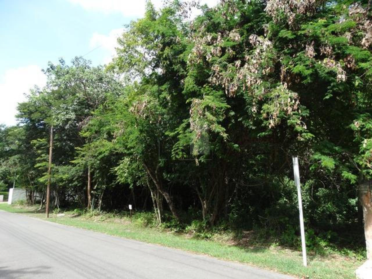 Terrain à Merida, Mexico No. 104745