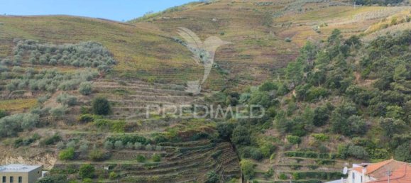 Land in Peso da Regua, Portugal No. 129755 5