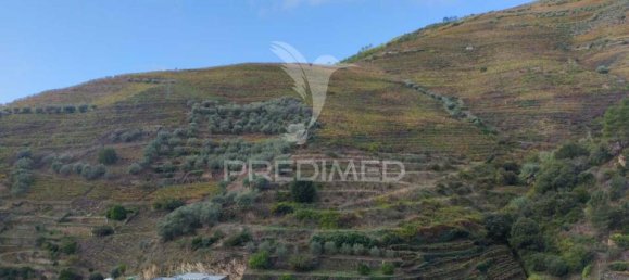 Land in Peso da Regua, Portugal No. 129755 3