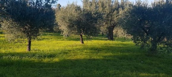 10000m² Land in Roseto degli Abruzzi, Italy No. 300966 5