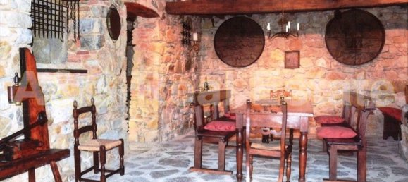 17 rooms Villa in Roccastrada, Italy No. 215953 13