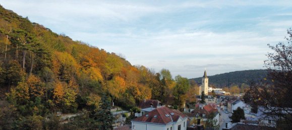 15 rooms Villa in Liesing, Austria No. 154641 4