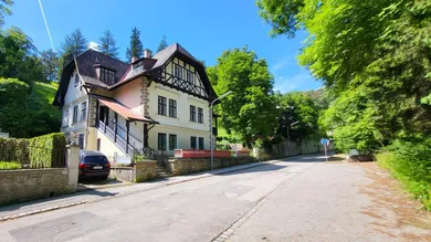 15 rooms Villa in Liesing, Austria No. 154641