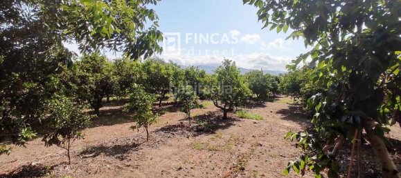 3 bedrooms House in Tortosa, Spain No. 49509 25