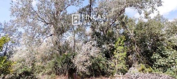 3 bedrooms House in Tortosa, Spain No. 49509 27