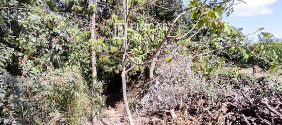 3 bedrooms House in Tortosa, Spain No. 49509 28