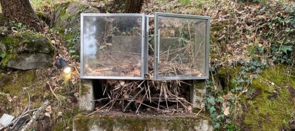 1 bedroom House in Soriano nel Cimino, Italy No. 349392 23