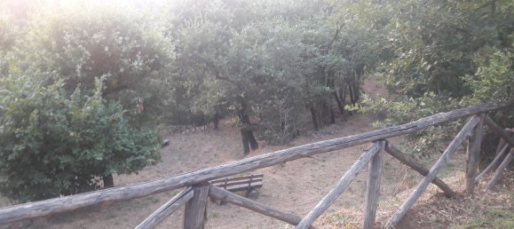 1 bedroom House in Soriano nel Cimino, Italy No. 349392 34