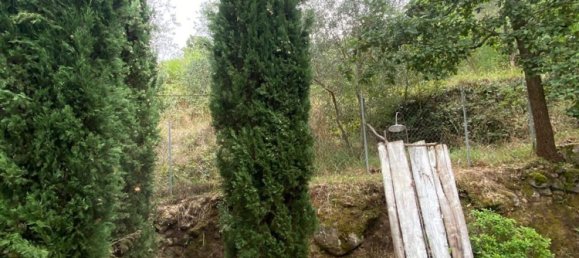 1 bedroom House in Soriano nel Cimino, Italy No. 349392 21