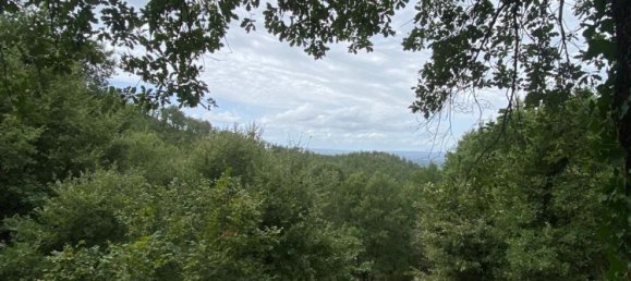 1 bedroom House in Soriano nel Cimino, Italy No. 349392 27