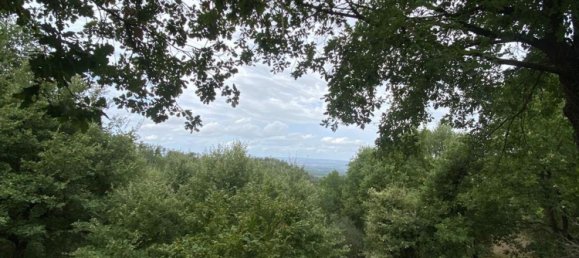 1 bedroom House in Soriano nel Cimino, Italy No. 349392 29