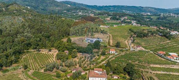 4 bedrooms House in Cabeceiras de Basto, Portugal No. 40026 2