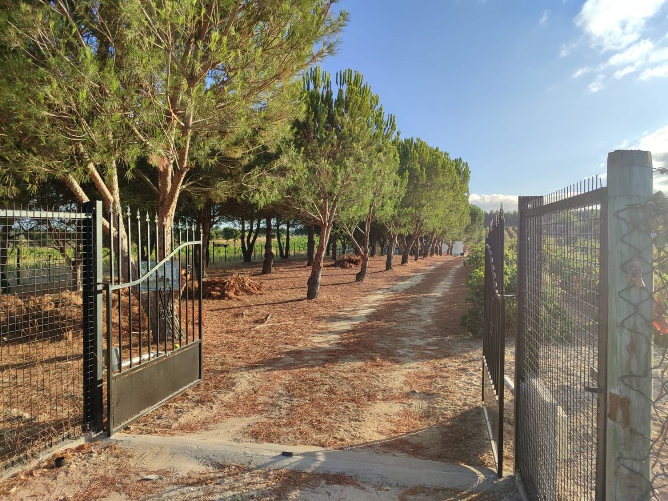 1 Schlafzimmer Haus in Almeirim, Portugal, Nr. 283521