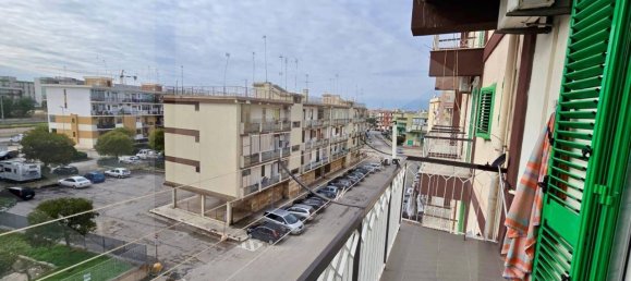 3 rooms Apartment in Molfetta, Italy No. 21988 51