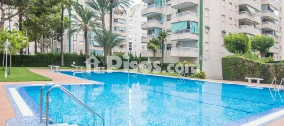 3 bedrooms Apartment in Gandia, Spain No. 174152 25