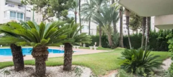 3 bedrooms Apartment in Gandia, Spain No. 174152 20