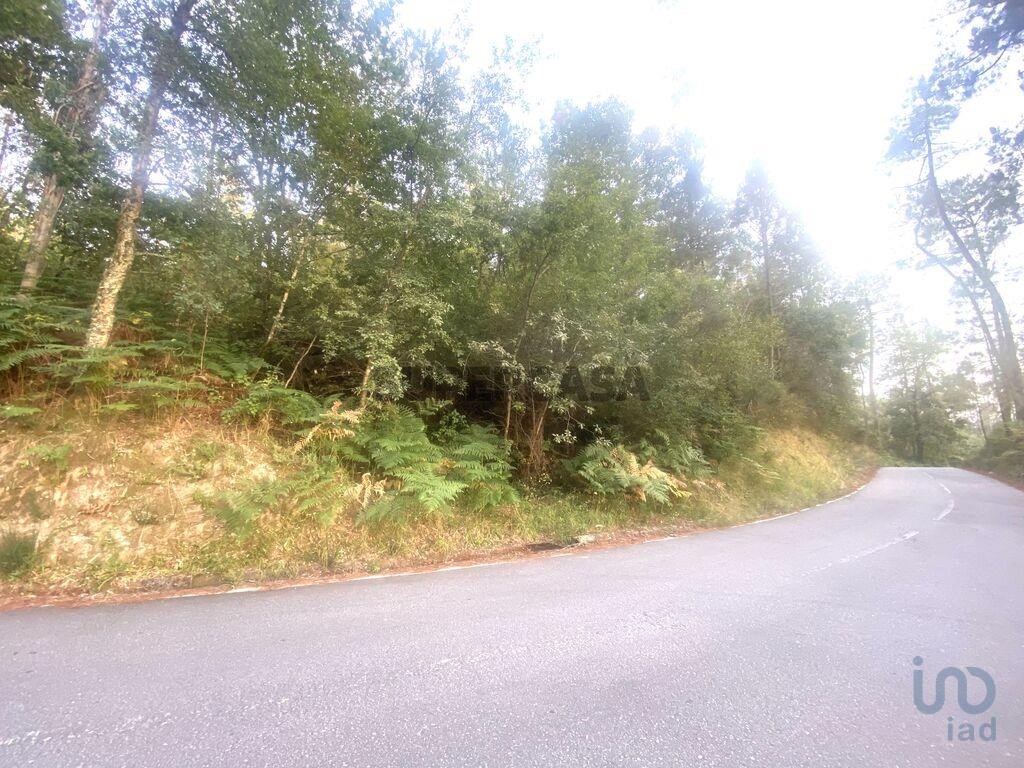 660m² Land in Vila Nova de Cerveira, Portugal No. 241399