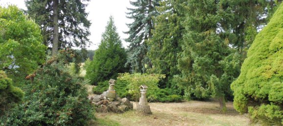 Terreno en Wittenberg, Germany No. 279296 8