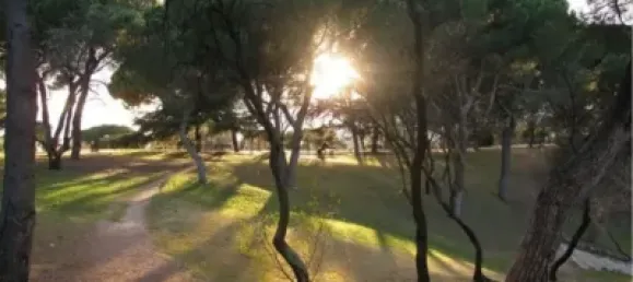 2 bedrooms Apartment in Madrid, Spain No. 139574 12