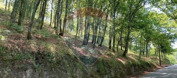 Grundstück in Arcos de Valdevez, Portugal 5814m², Nr. 57055 4