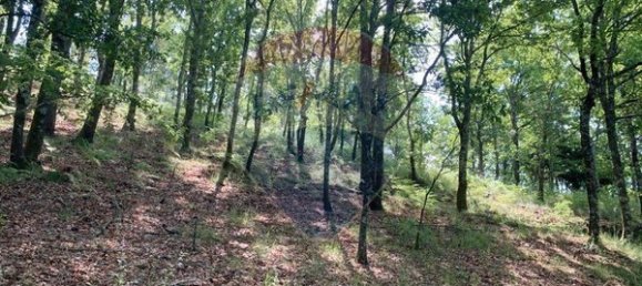 Grundstück in Arcos de Valdevez, Portugal 5814m², Nr. 57055 2