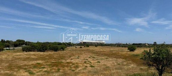 1 bedroom Apartment in Bari, Italy No. 278216 29