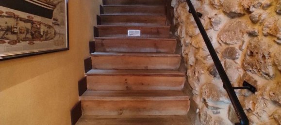 Propiedad comercial en Valle de Mena, Spain 300 m² No. 28787 11