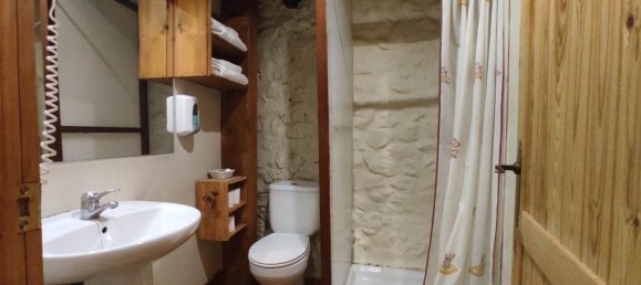 Propiedad comercial en Valle de Mena, Spain 300 m² No. 28787 47