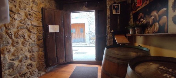 Propiedad comercial en Valle de Mena, Spain 300 m² No. 28787 9