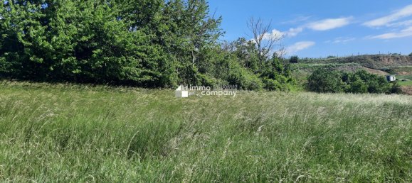 Grundstück in Sitzenberg-Reidling, Austria 4392m², Nr. 90576 2