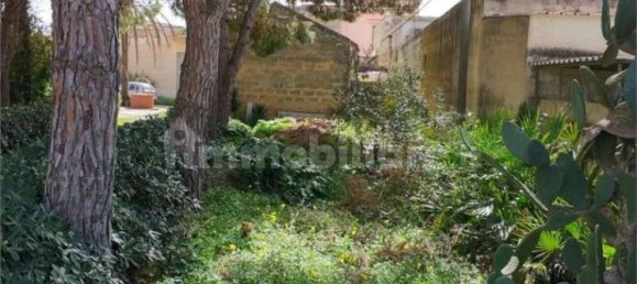 5-Zimmer Haus in Marsala, Italy, Nr. 285994 40