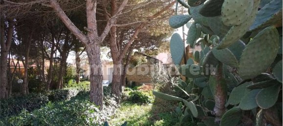 5-Zimmer Haus in Marsala, Italy, Nr. 285994 14