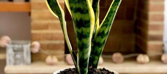 2 chambres Appartement à Denia, Spain No. 20808 2