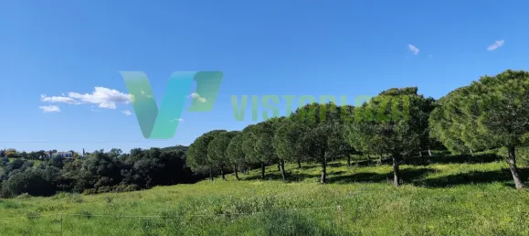 Земельный участок 22680м² в Лагуш, Португалия № 64341 6