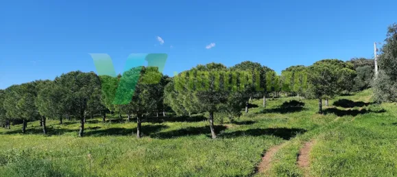 Земельный участок 22680м² в Лагуш, Португалия № 64341 5