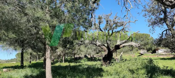 Земельный участок 22680м² в Лагуш, Португалия № 64341 2