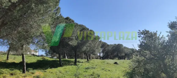 Земельный участок 22680м² в Лагуш, Португалия № 64341 3