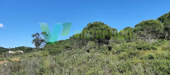 Земельный участок 22680м² в Лагуш, Португалия № 64341 4