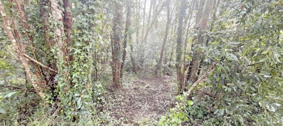  قطعة أرض في Betanzos, Spain 1042متر مربع رقم 45643 19