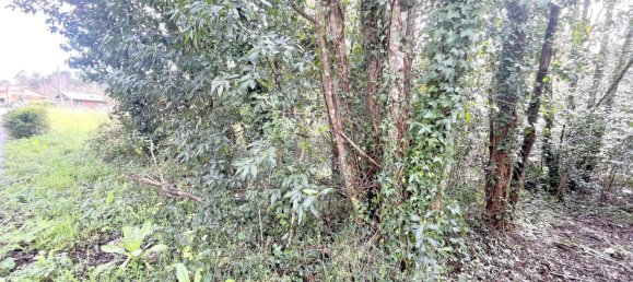  قطعة أرض في Betanzos, Spain 1042متر مربع رقم 45643 11