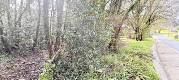  قطعة أرض في Betanzos, Spain 1042متر مربع رقم 45643 6