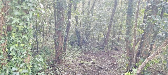  قطعة أرض في Betanzos, Spain 1042متر مربع رقم 45643 16