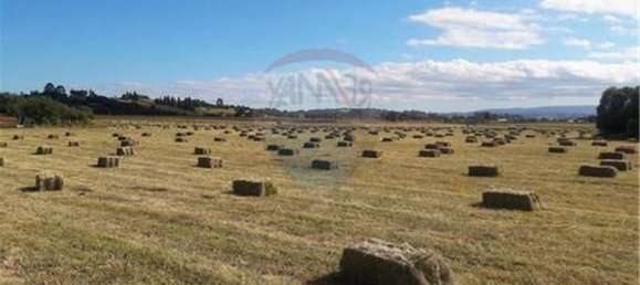 Terreno en Los Ríos, Chile No. 775 2