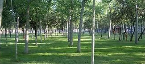 6 rooms House in Viareggio, Italy No. 155313 9